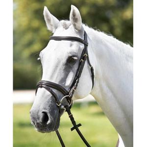 1426699-10-faceplate-front-mold-tattini-black