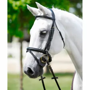 Nagłówek i podgardle Tattini image-0