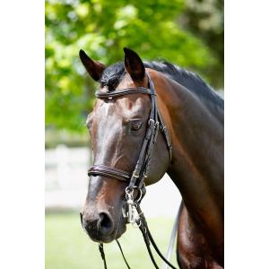 1427199-10-trensen-fur-pferde-gebiss-und-stirnband-lackiert-tattini-schwarz