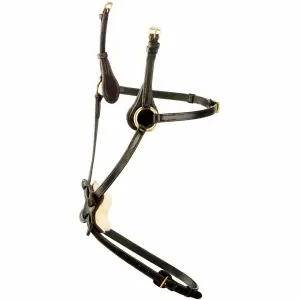 Crossed horse + Horse cheek pieces Tattini image-0