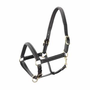 2002603-04-tattini-leather-horse-halter-with-curved-lining-brown