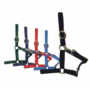 Licol pour cheval nylon premier prix Tattini image-0
