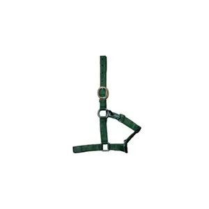 Licol pour cheval nylon premier prix Tattini image-0