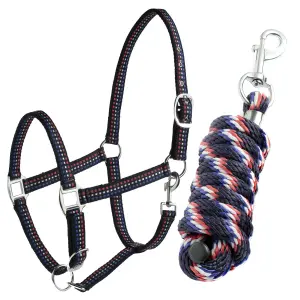 Stitched horse halter + lead reins Tattini image-0
