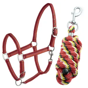 Licol pour cheval surpiqué + longe Tattini image-3