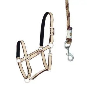 Licol pour cheval avec matelassure Tattini image-0