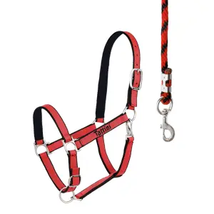 Licol pour cheval avec matelassure Tattini image-0
