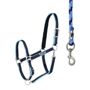 Licol pour cheval avec matelassure Tattini image-0