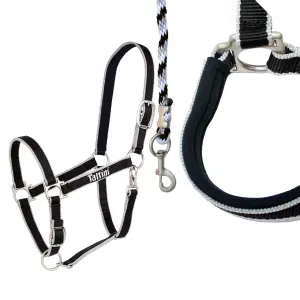 Licol pour cheval avec matelassure Tattini image-0