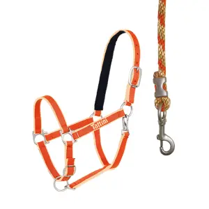 Licol pour cheval avec matelassure Tattini image-0