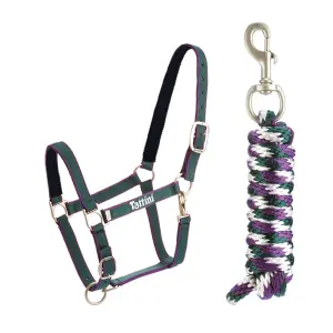 Licol pour cheval avec matelassure Tattini image-0