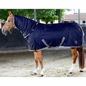 2605699-29-outdoor-blanket-with-removable-neckline-for-horses-tattini-blue-green