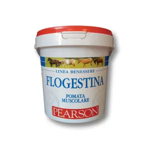 Κρέμα για άλογα Tattini Flogestina image-0