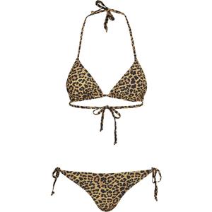 tb2797-01720-women-s-bikini-urban-classic-animal-yellow-black