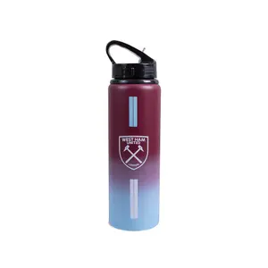 Botella de aluminio Team Merchandise Fade image-0