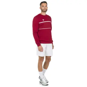 Pullover Tecnifibre Team image-5