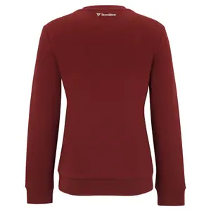 Sweatshirt woman Tecnifibre Team image-2