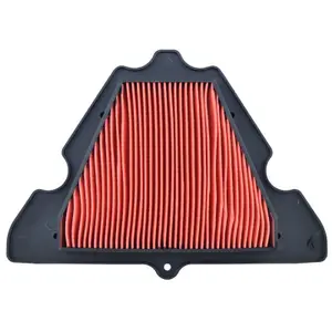 Motorcycle air filter Tecnium Kawasaki Versys 1000 Abs image-0