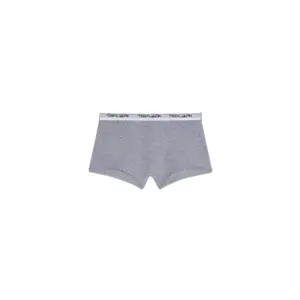 Boxer Teddy Smith Billybob image-1