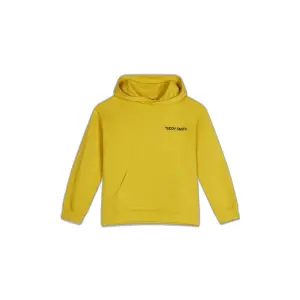 Children's hoodie Teddy Smith Required image-0