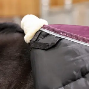 Manta de cuadra Tempest Original 300 g image-2