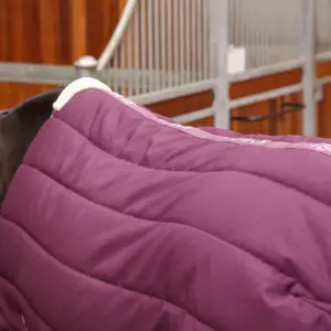 Manta de cuadra Tempest Original 300 g image-3