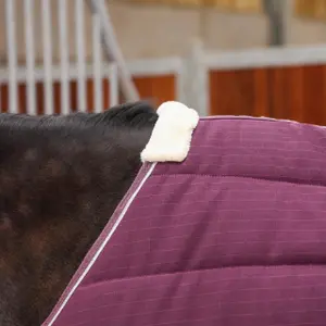 Manta de cuadra Tempest Original 300 g image-6