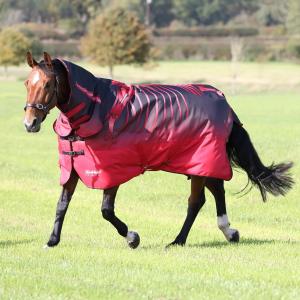 product/t/e/tempest-original_9332-redskel_redskel_1.jpg
