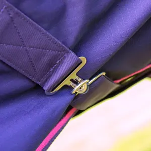 Manta de exterior para caballos Tempest Original 100g image-3