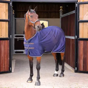 Cooler fleece blanket for horse Tempest Original image-0