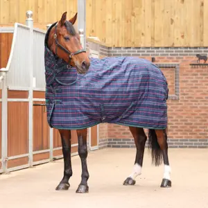 Stable Blanket Tempest Plus Combo 100g image-0