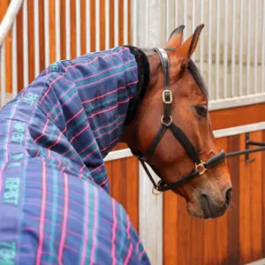 Stable Blanket Tempest Plus Combo 100g image-1