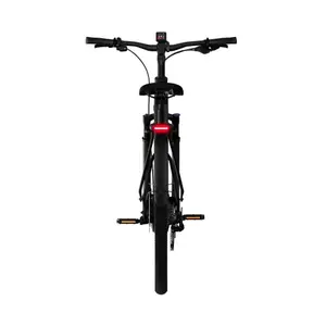 Bicicletta elettrica Tenways Ago Air image-4