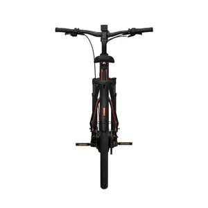 Bicicletta elettrica Tenways AGO Air Belt image-3