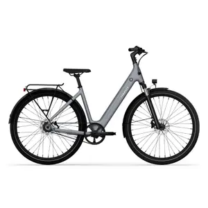 Bicicletta elettrica Tenways CGO800S