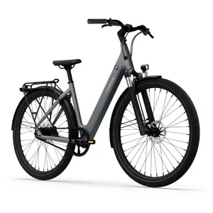 Bicicletta elettrica Tenways CGO800S image-1