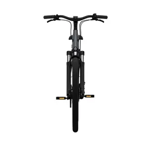 Bicicletta elettrica Tenways CGO800S image-3