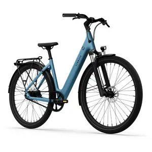 Bicicletta elettrica Tenways CGO800S image-1