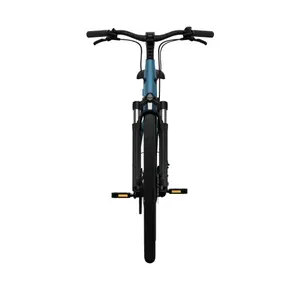 Bicicletta elettrica Tenways CGO800S image-3
