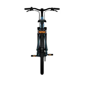 Bicicletta elettrica Tenways CGO800S image-4