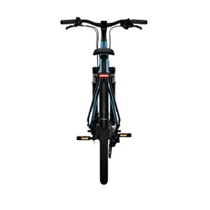 Bicicletta elettrica Tenways CGO800 Plus image-4