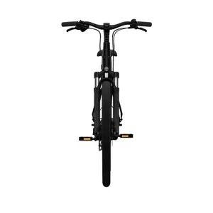 Bicicletta elettrica Tenways CGO800 Plus image-3