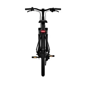 Bicicletta elettrica Tenways CGO800 Plus image-4