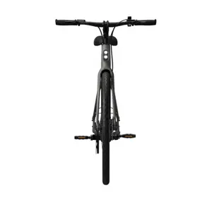 Bicicletta elettrica Tenways CGO600 Pro image-3