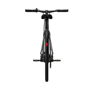 Bicicletta elettrica Tenways CGO600 Pro image-4
