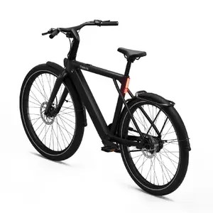 Bicicletta elettrica Tenways CGO009 image-2