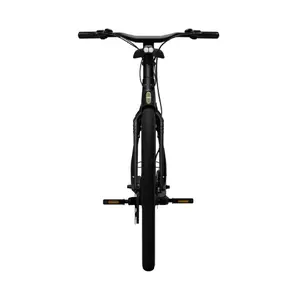 Bicicletta elettrica Tenways CGO009 image-3