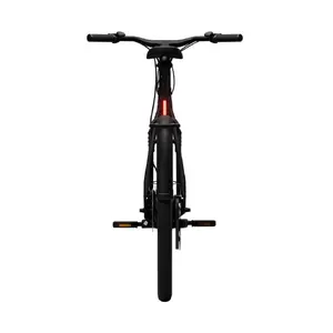 Bicicletta elettrica Tenways CGO009 image-4