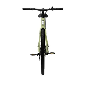 Bicicletta elettrica Tenways CGO600 Pro image-3