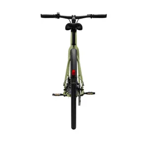 Bicicletta elettrica Tenways CGO600 Pro image-4